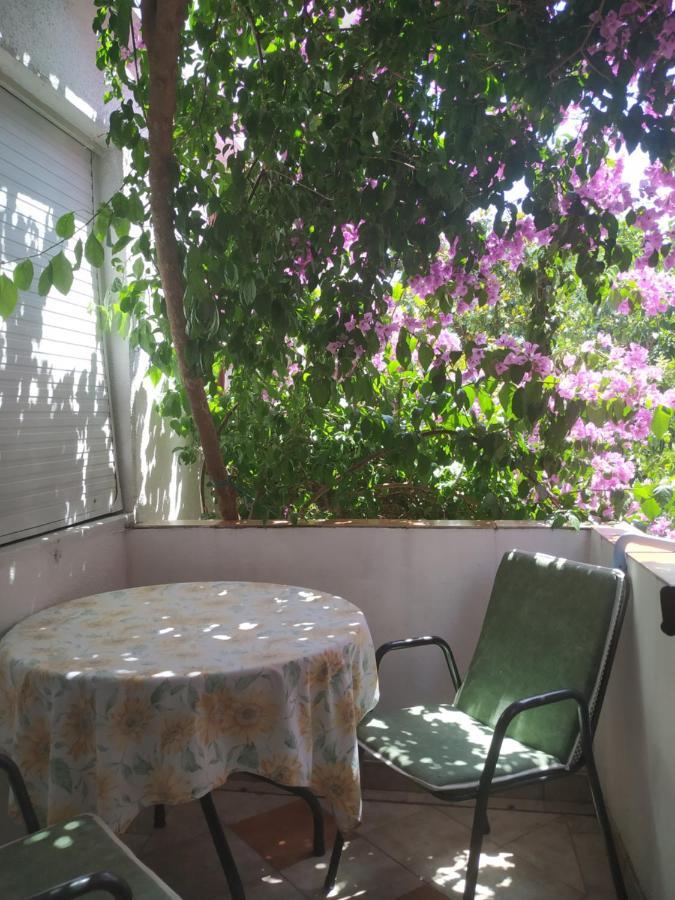 Apartmani Abeona Budva Buitenkant foto